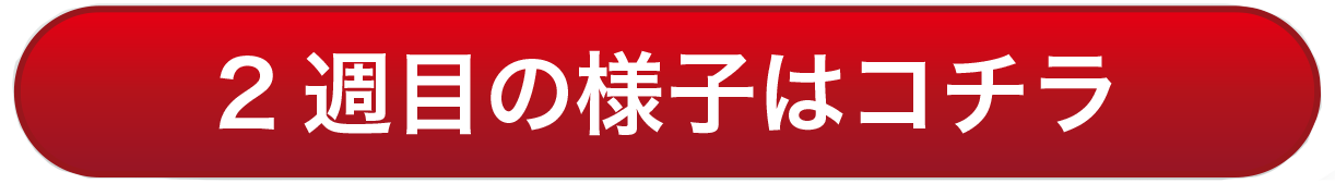 2週目の様子はこちら