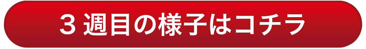 3週目の様子はこちら